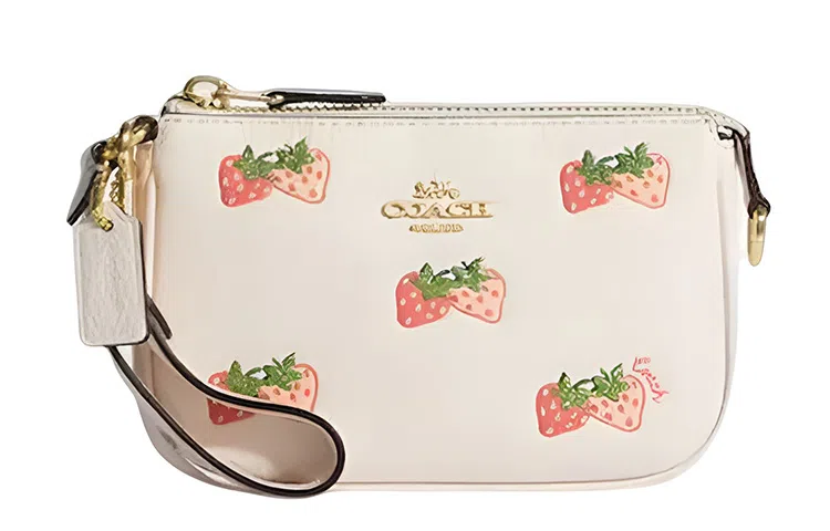 COACH Nolita 15
