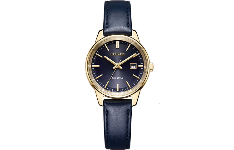 CITIZEN 50 EW2662-19L