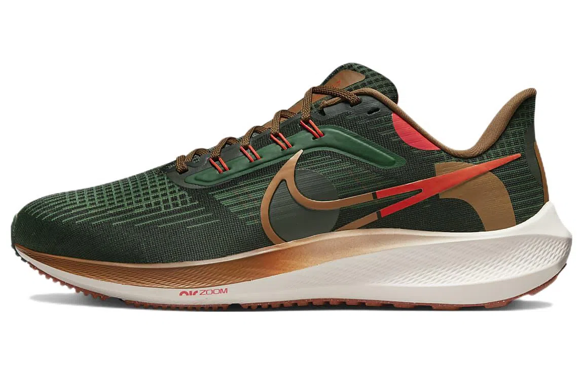 Nike Air Zoom Pegasus 39 "A.I.R. Hola Lou"