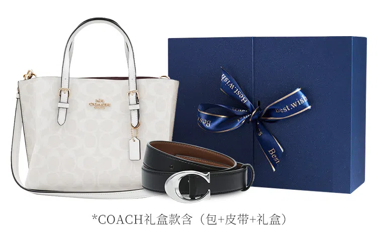 COACH Mollie 25 Tote