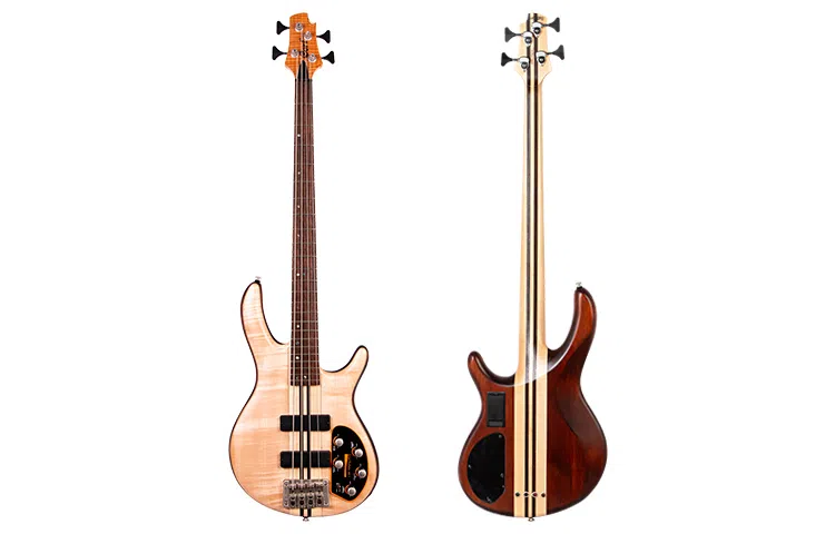 Cort Artisan A4 Plus FMMH 24 Bartolini MK-1