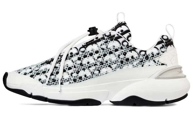 Dior B24