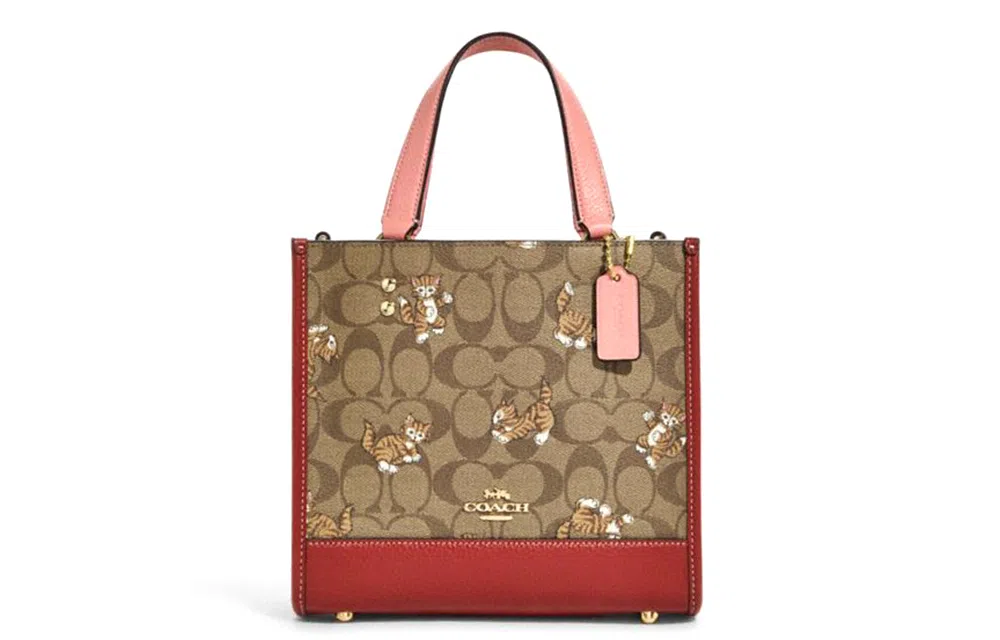 COACH Dempsey 22 Tote