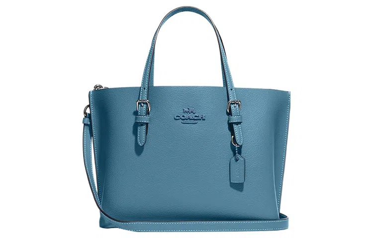 COACH Mollie 25 Logo Tote 25