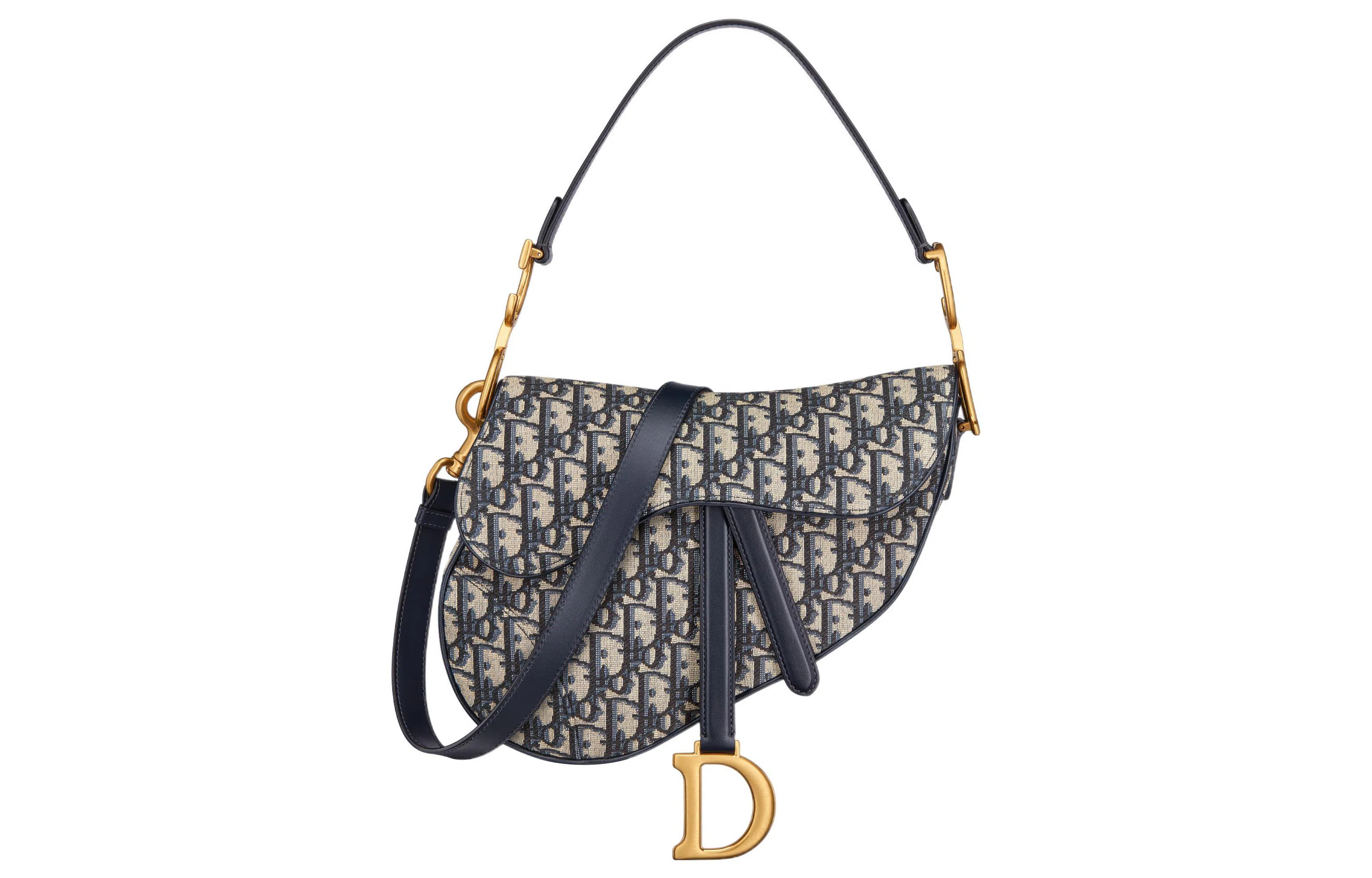 DIOR Saddle