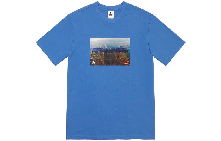 Supreme x Nike ACG Grid Tee