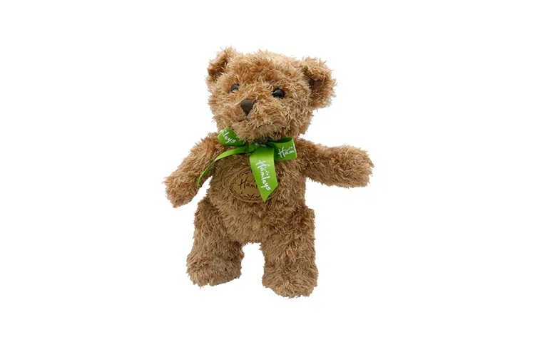 Hamleys 27cm