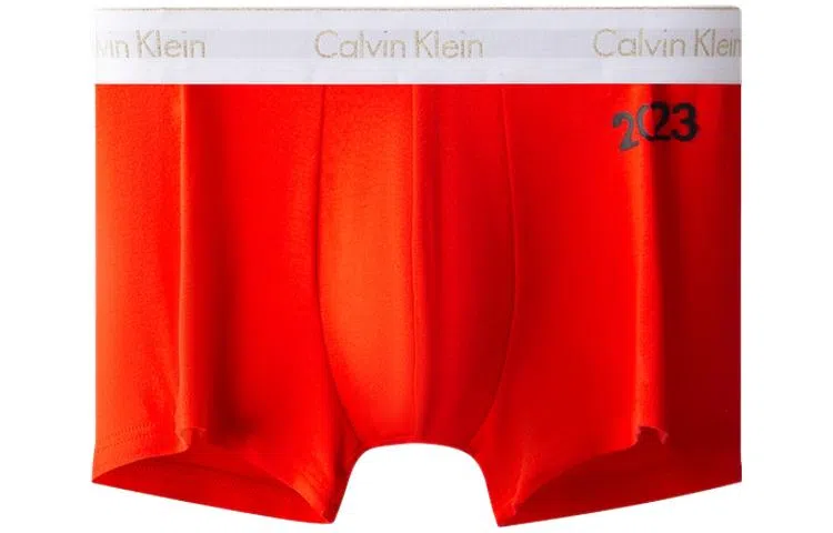 CKCalvin Klein Logo 1
