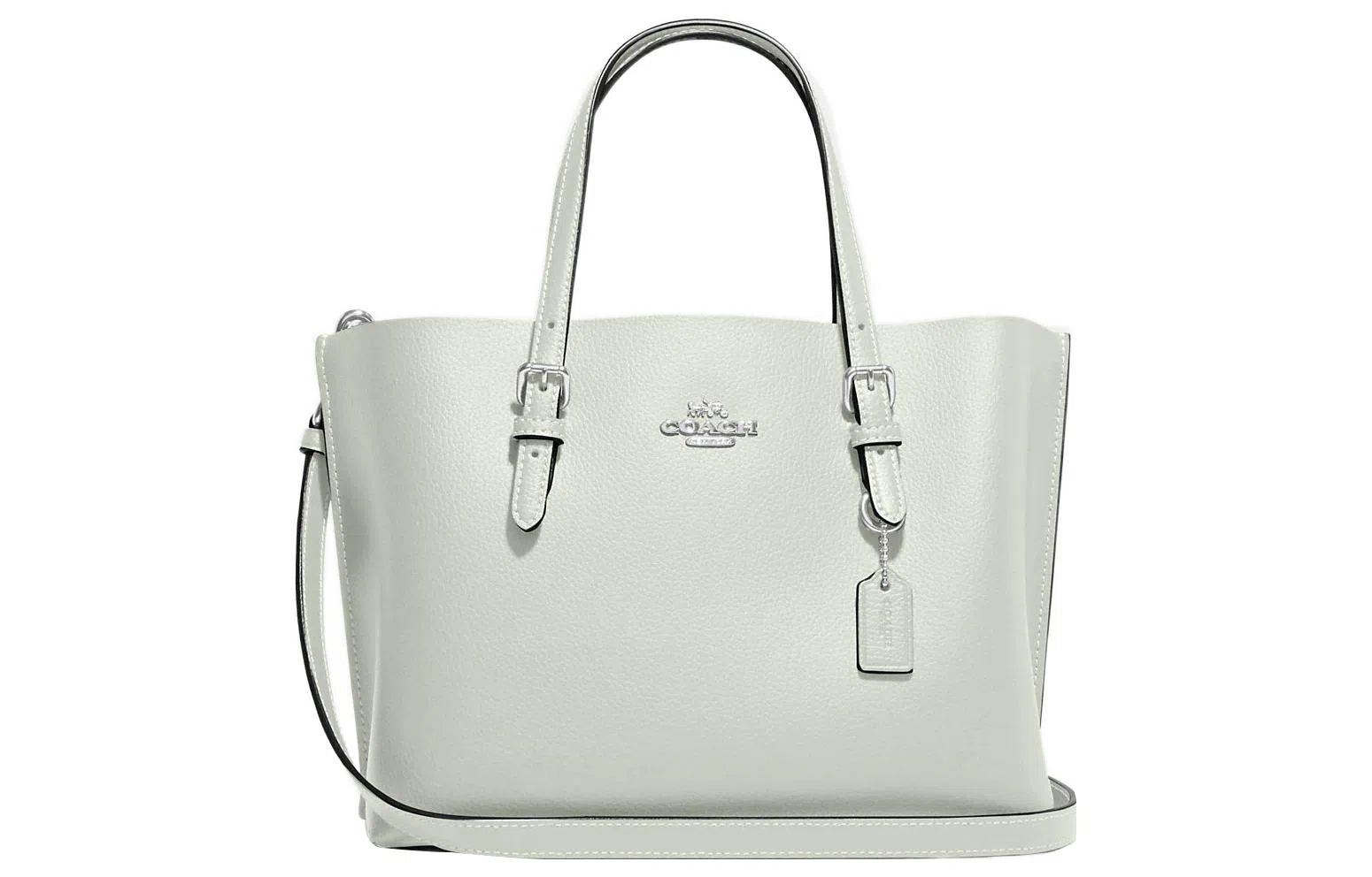 COACH Mollie 25 Logo Tote