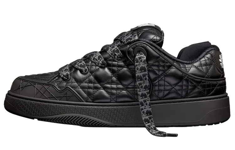 ERL x DIOR B9S