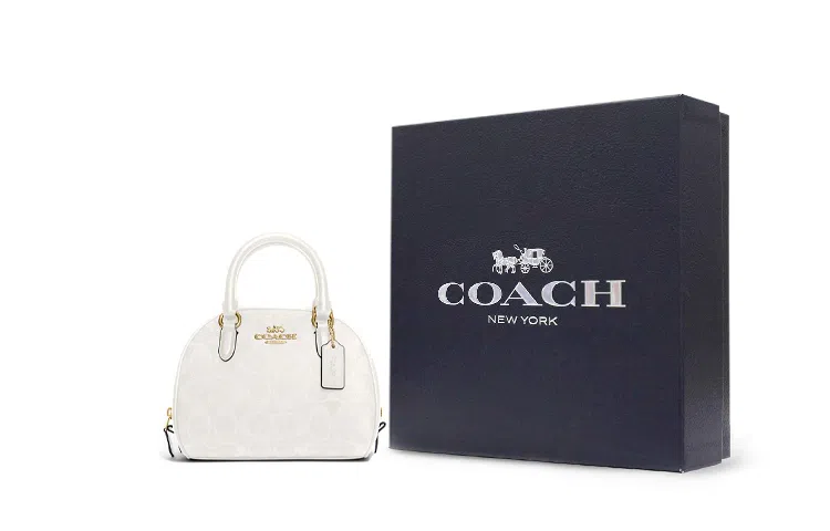 COACH Sydney 20 Chalk White