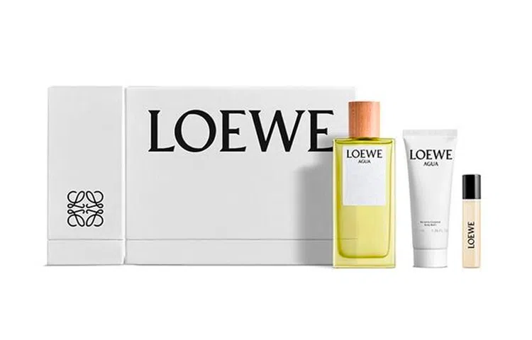 LOEWE EDT2023