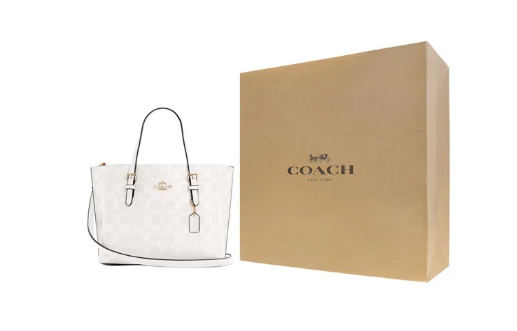 COACH Mollie 25 Tote