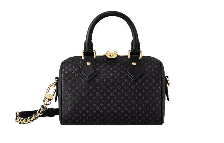 LOUIS VUITTON Speedy 20