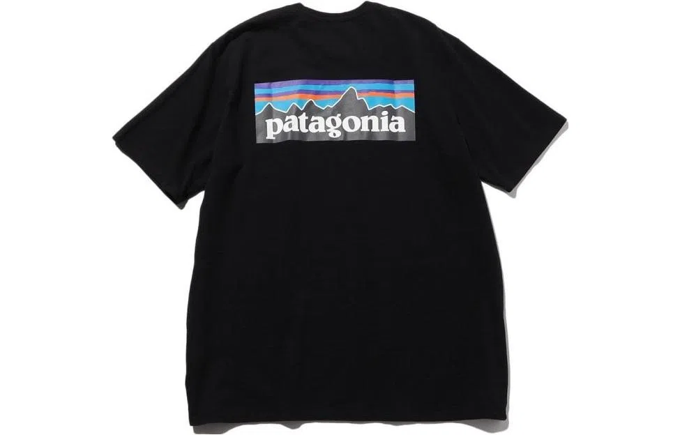 patagonia P-6Logo Responsibili LogoT