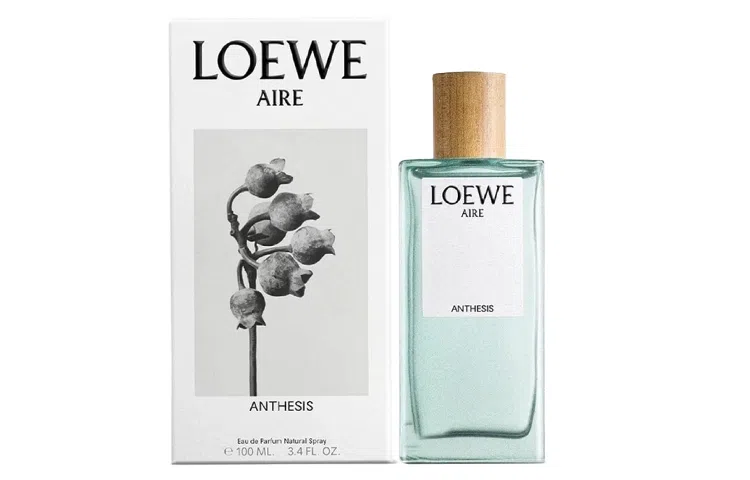 LOEWE Aire Anthesis EDP 50ml100ml2023