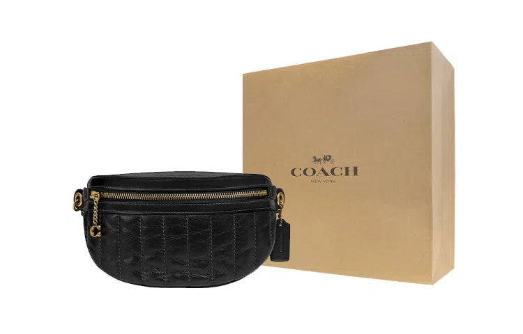 COACH Chain 22