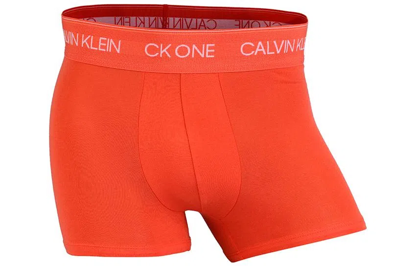 CKCalvin Klein Logo 1