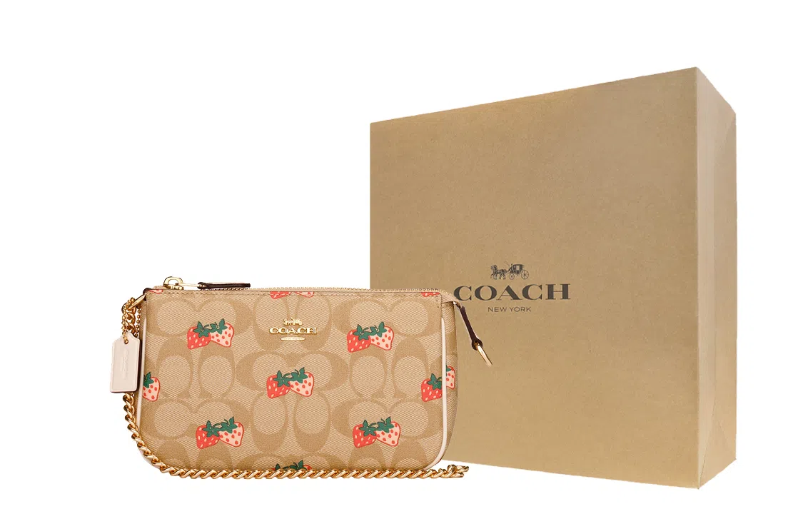 COACH Wristlet 19