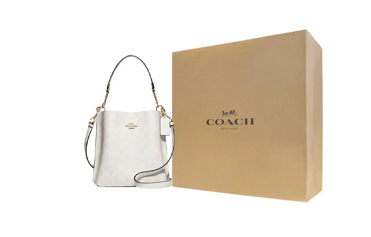 COACH Mollie 22 Logo