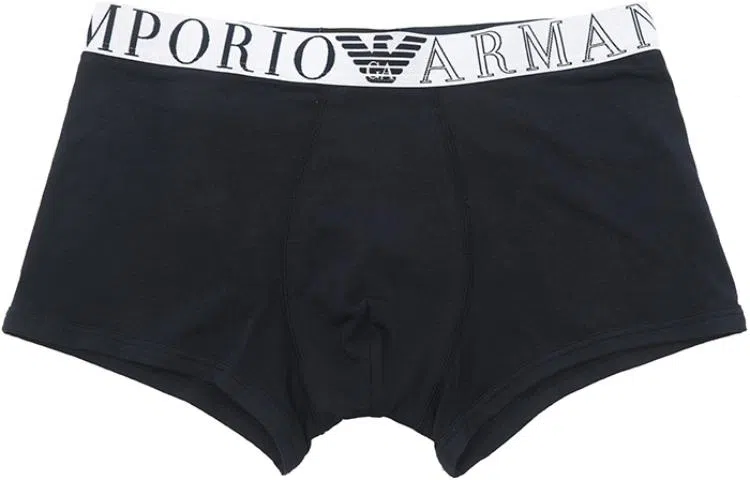 EMPORIO ARMANI Logo 1