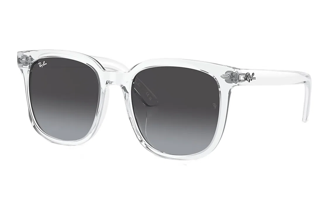 RayBan Logo