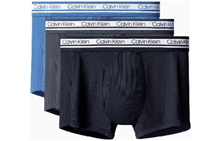 CKCalvin Klein Logo 3