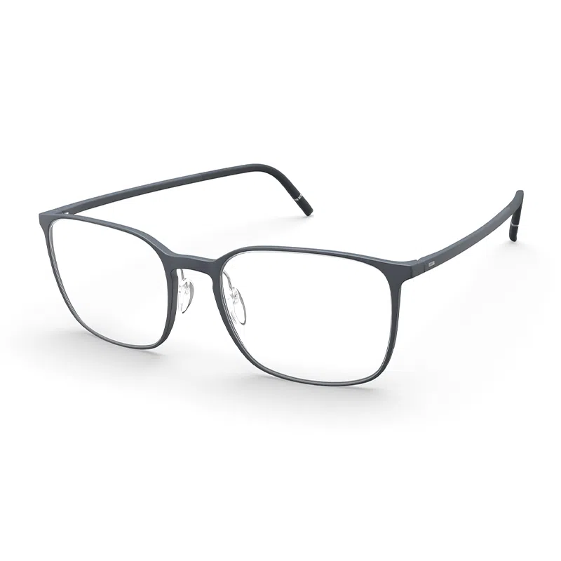 Silhouette2954