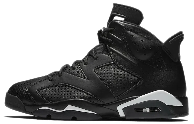 Jordan Air Jordan 6 retro "black cat"