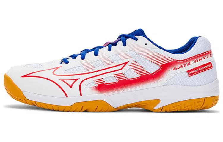 Mizuno Gate Sky Plus2