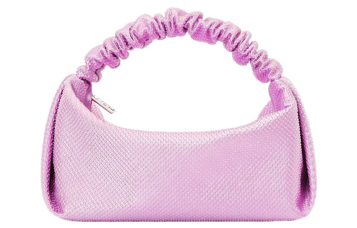 Alexander Wang Scrunchie Mini Bag