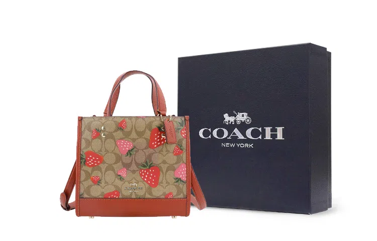 COACH Dempsey 22 Tote