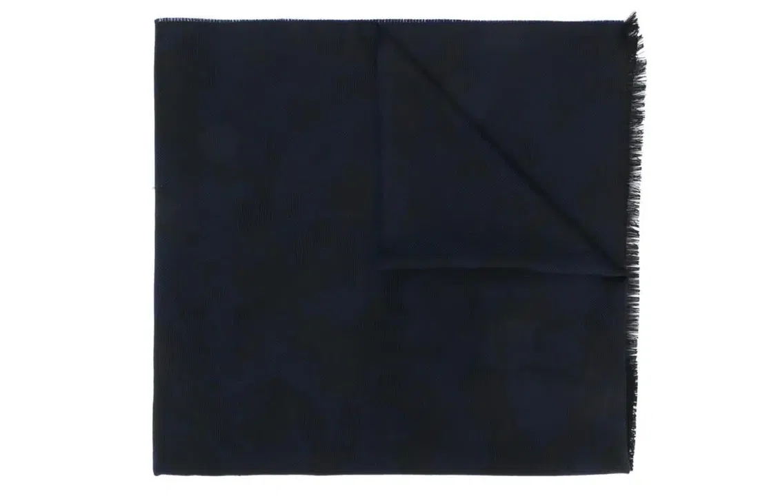 Zzegna Logo Tassel Scarf Black