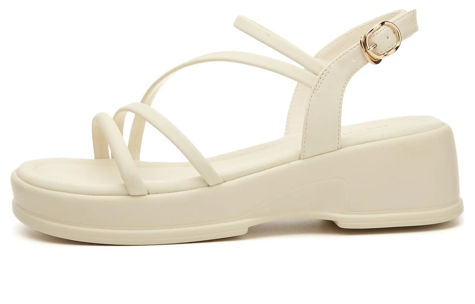DAPHNE PU 5cm