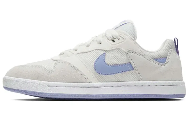 Nike SB Alleyoop Purple Grey