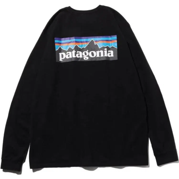Patagonia P-6 Responsibili Tee