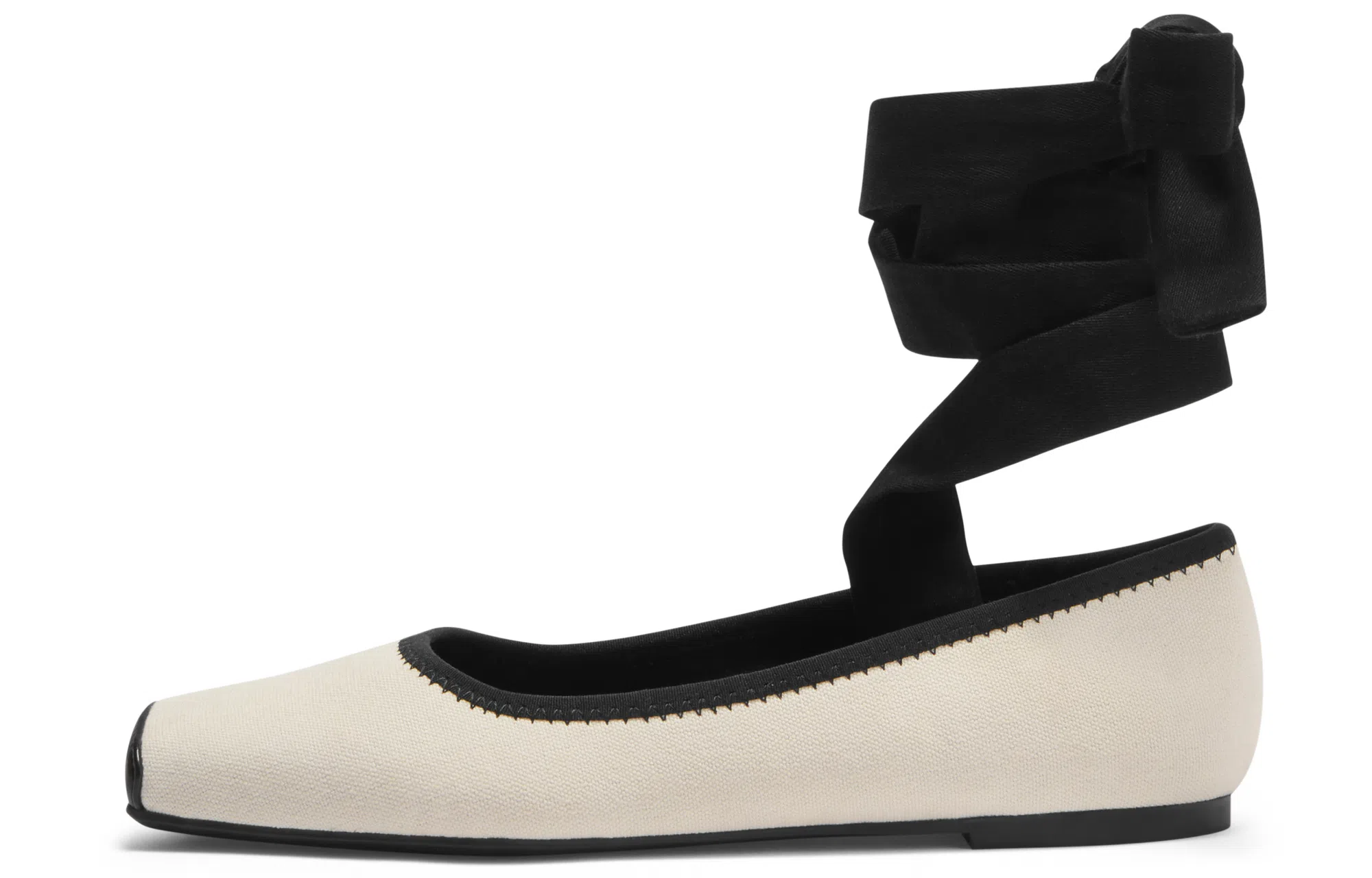Charles & Keith Ballet Flats