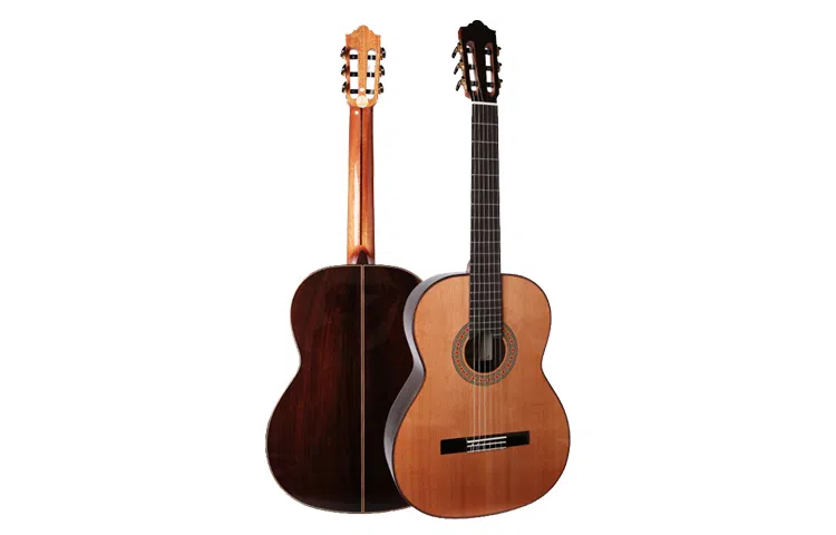 (Kapok) KAS001KAS002 39