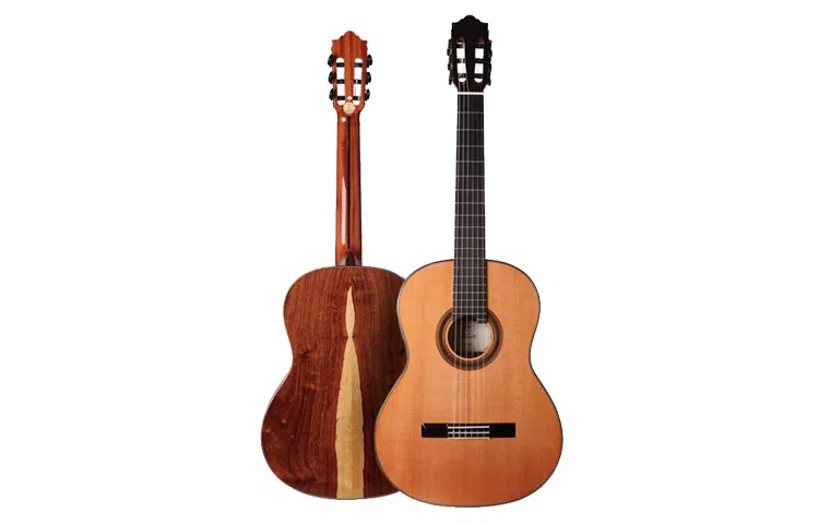 (Kapok) KAS001KAS002 39