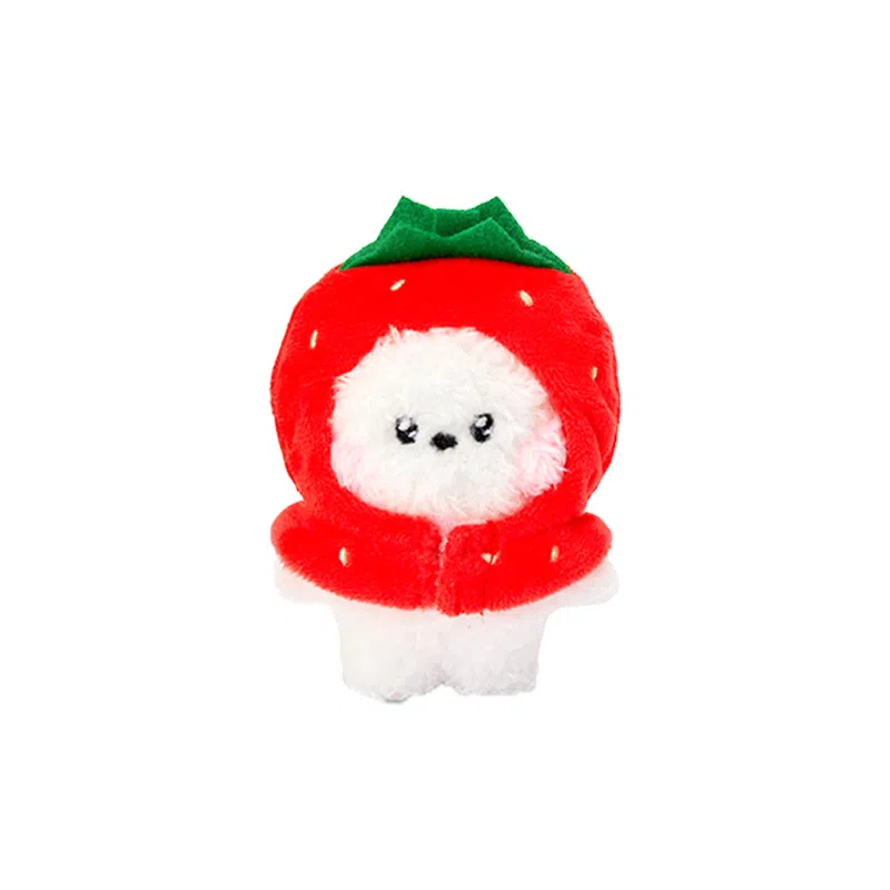 LINE FRIENDS minini