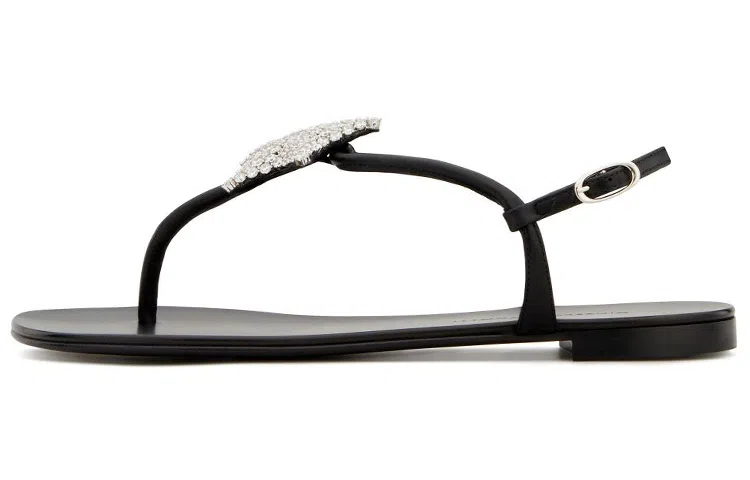 giuseppe zanottiGZ Hollie Star