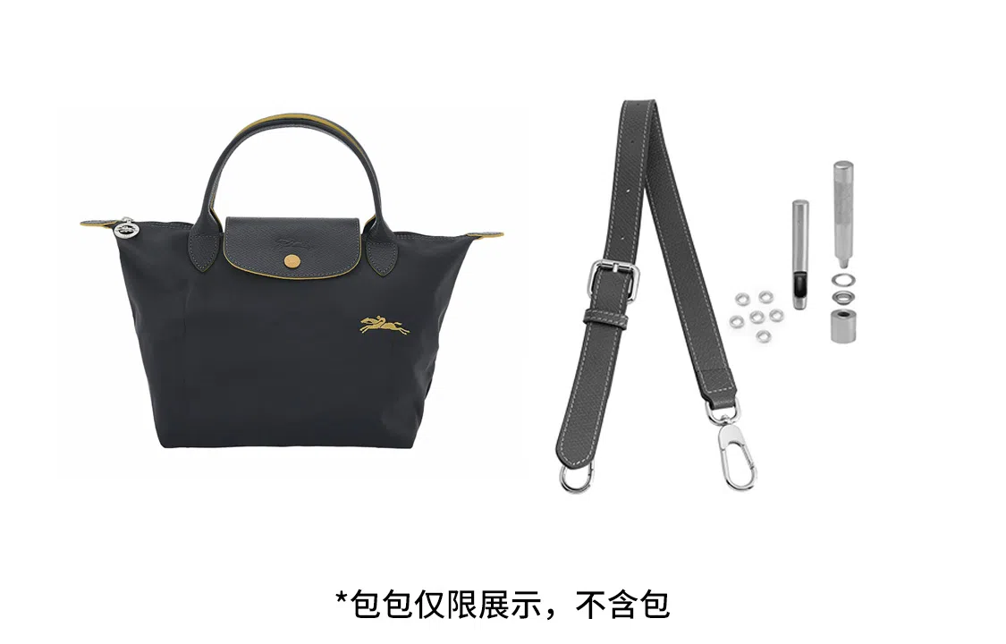 hobo longchamp