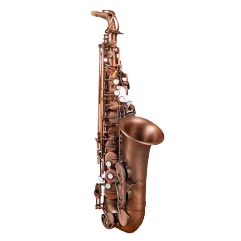 (JINBAO) E JBWAS-313