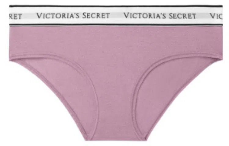 Victoria's Secret Logo 1