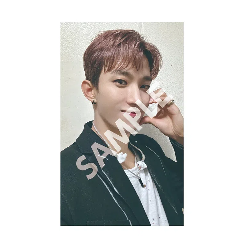 HYBE SEVENTEEN LOVE