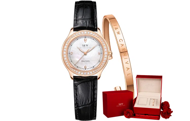 IW CARNIVAL HWGUOJI DW8593L