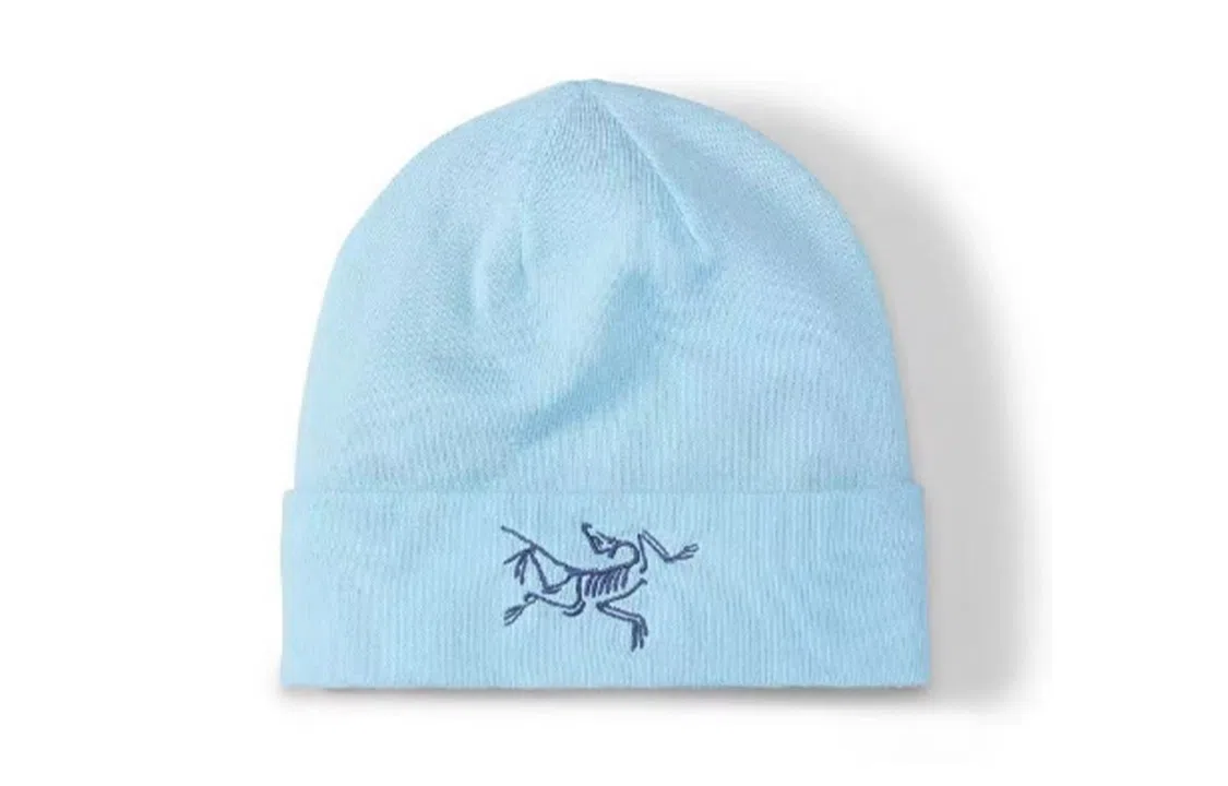 Arcteryx Logo Beanie Blue