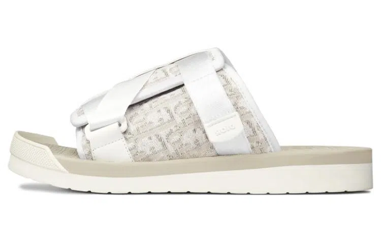 DIOR Alpha