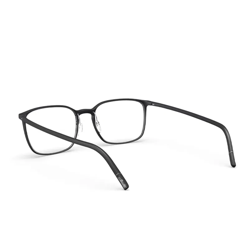 Silhouette2954