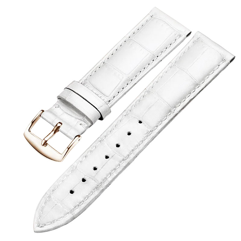 ZS CK 14161820mm 100201